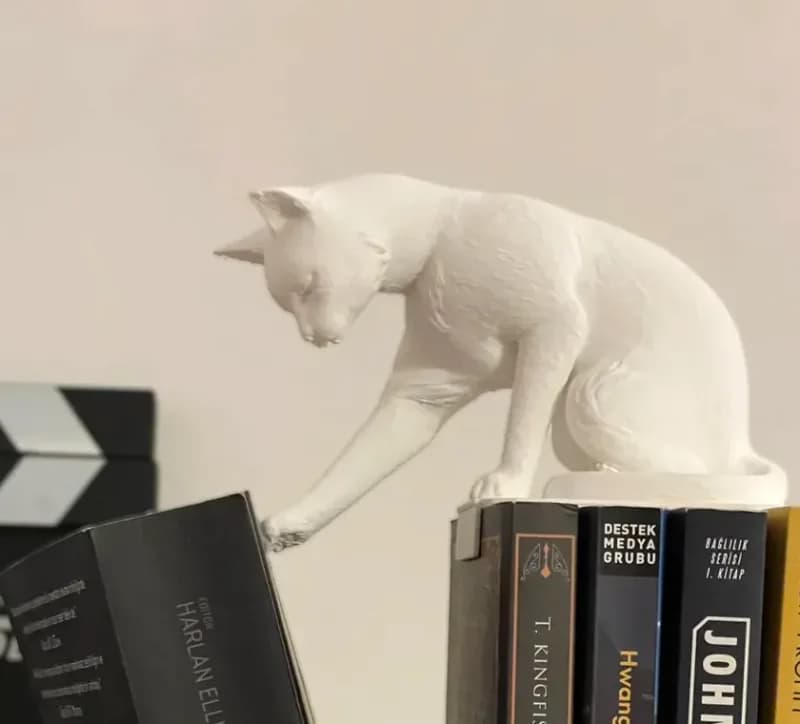 گربه‌ی هل‌دهنده‌ی کتاب